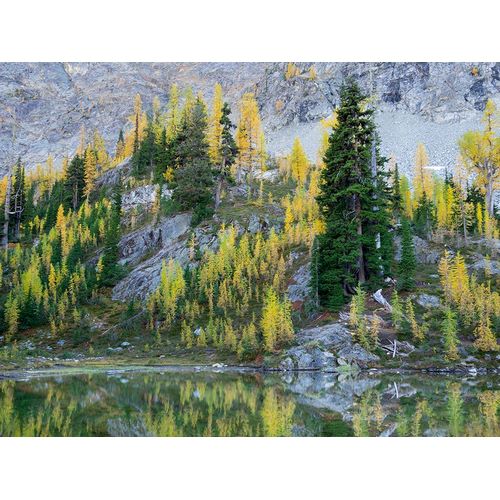 Wild, Jamie and Judy 아티스트의 Washington State-North Cascades-Alpine Pond with Larch and Fir trees작품입니다.